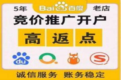 SEM托管服务案例：优化策略与效果展示